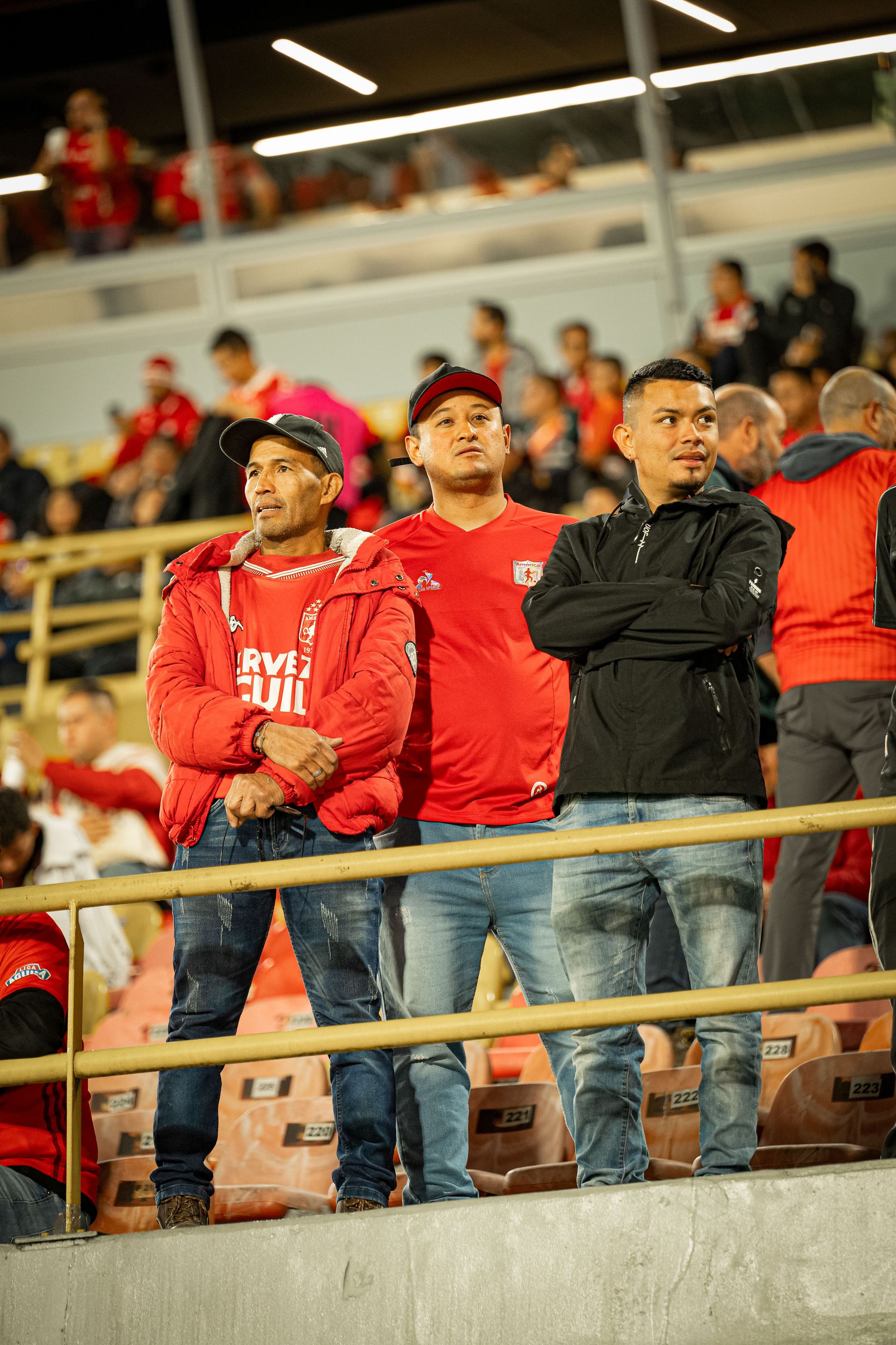 Hinchada América de Cali