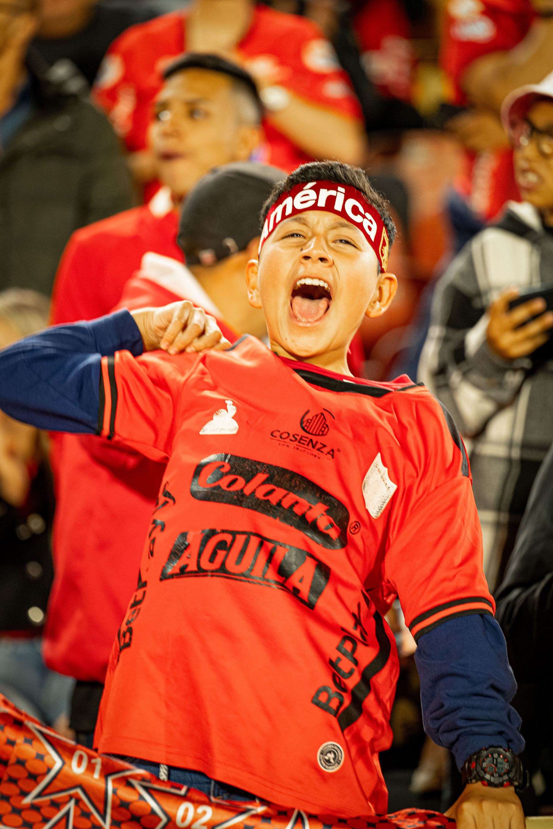 Hinchada América de Cali