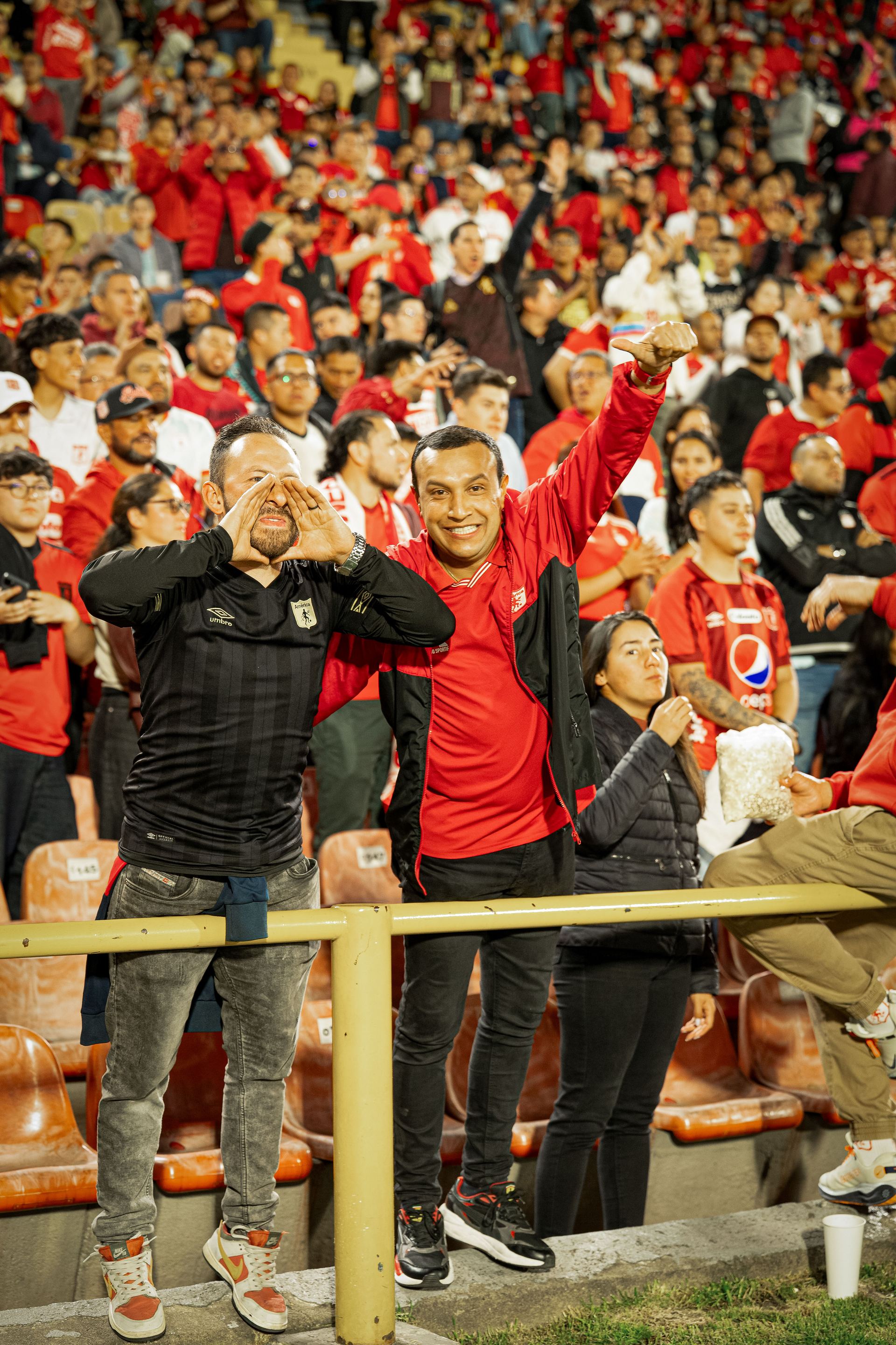 Hinchada América de Cali