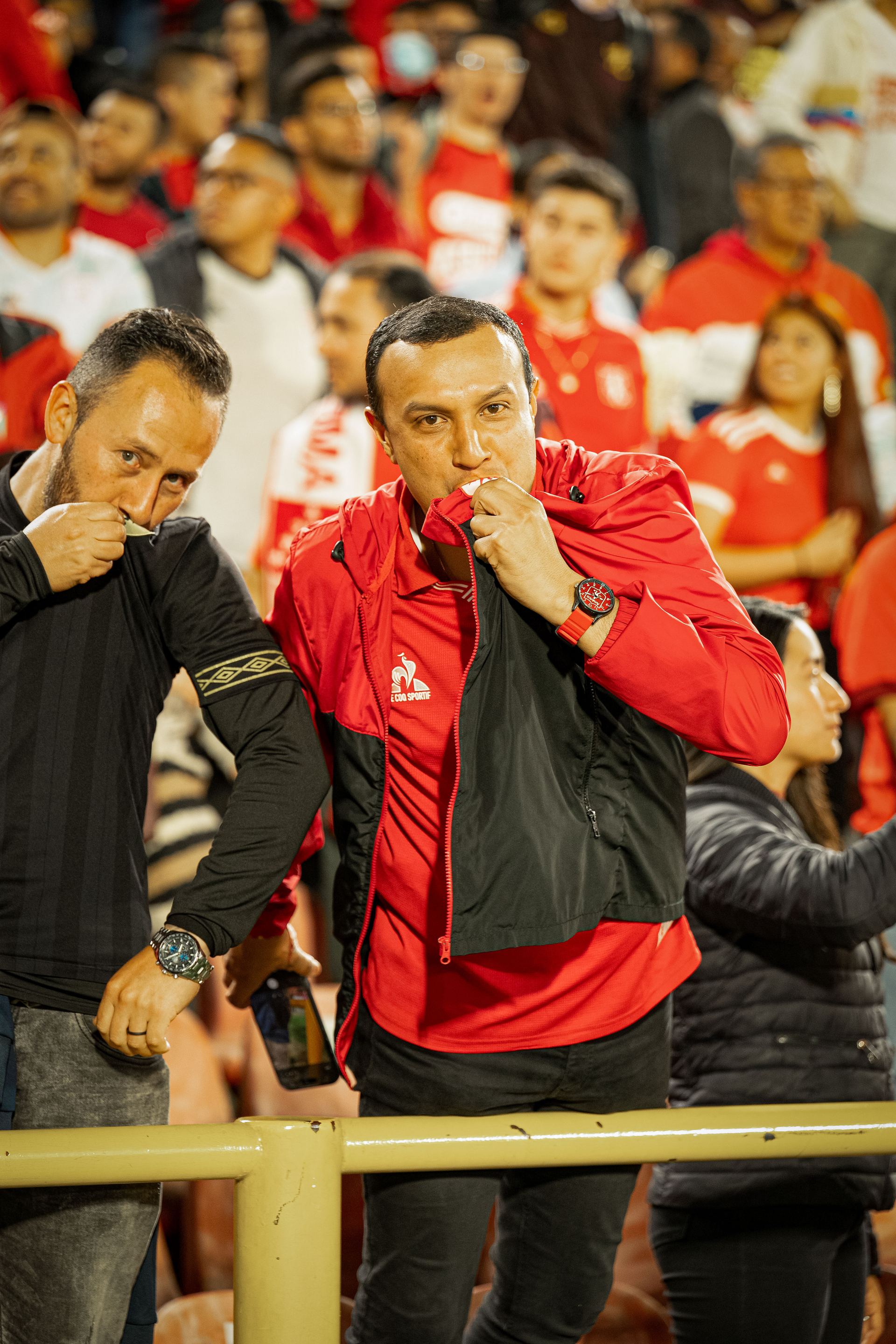 Hinchada América de Cali