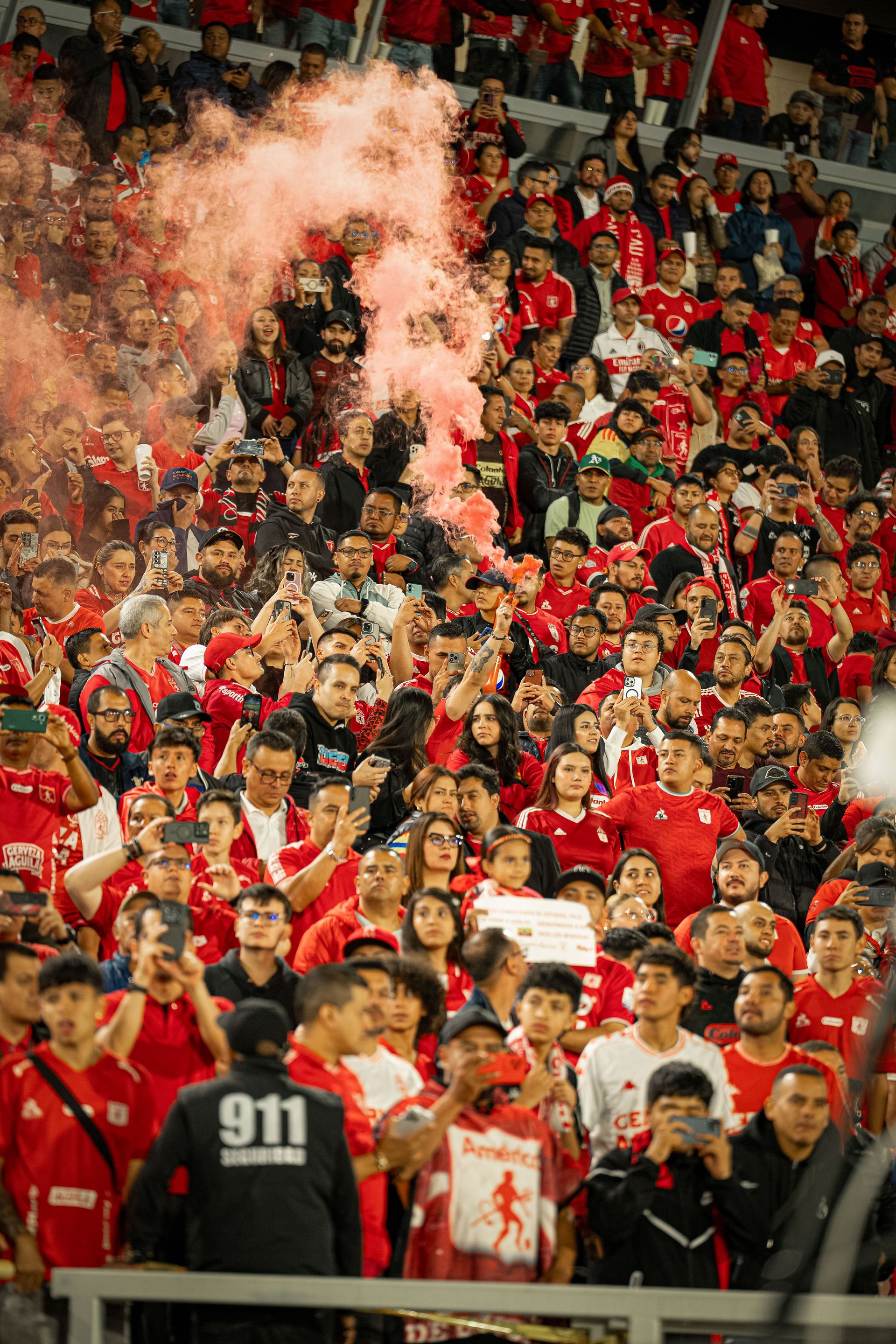 Hinchada América de Cali