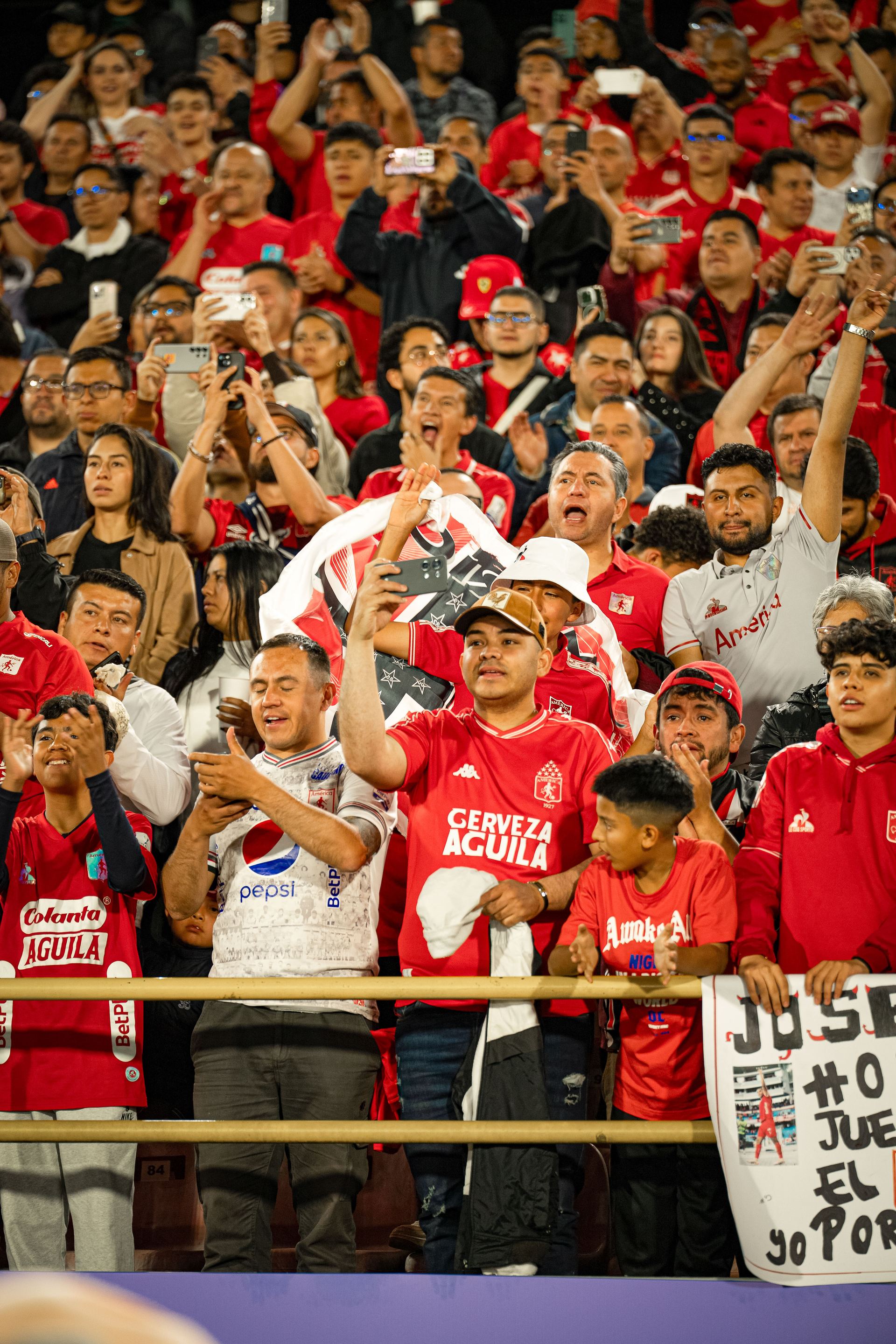Hinchada América de Cali