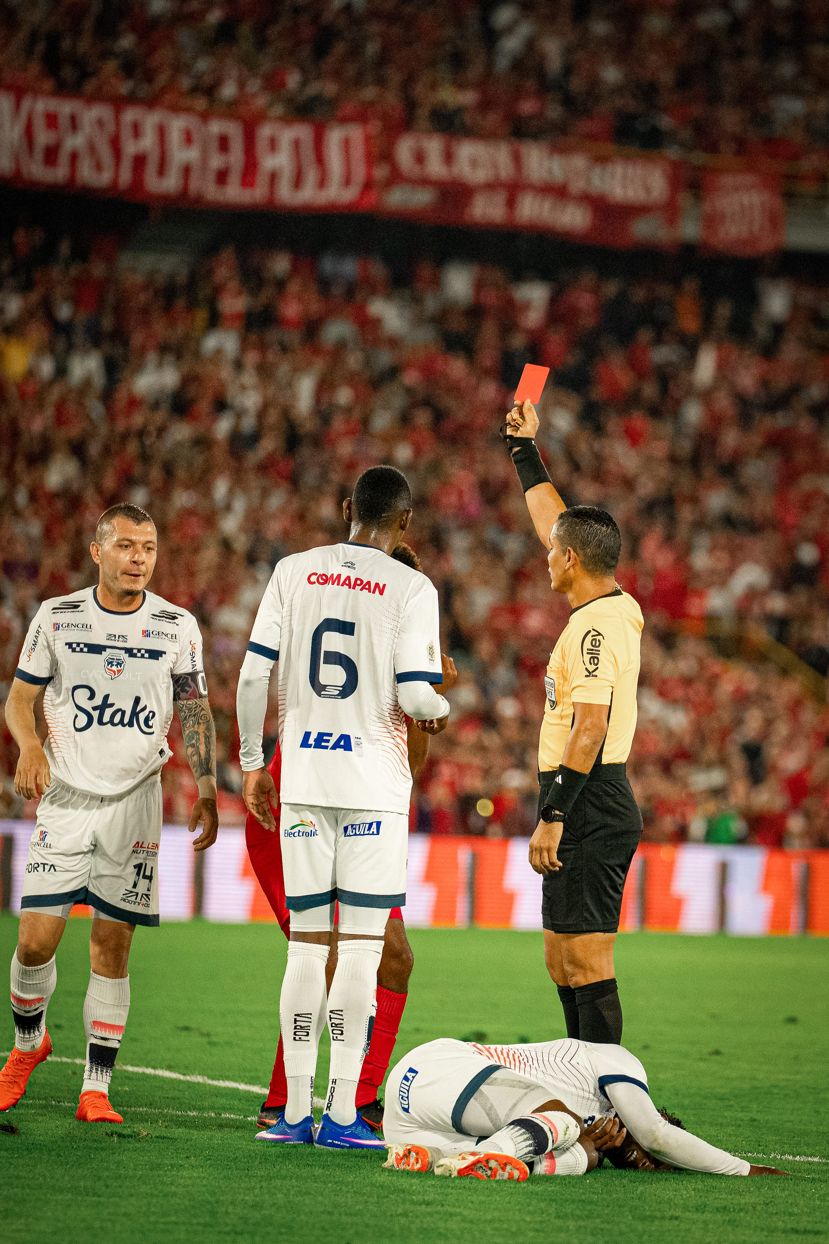 Fútbol
